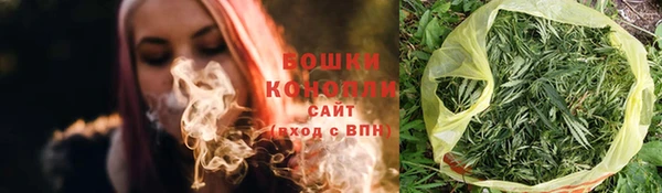 тгк Инта