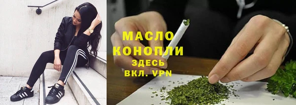 тгк Инта