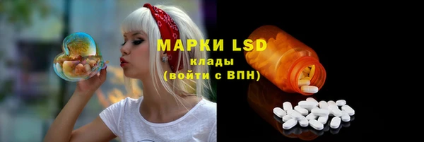 тгк Инта