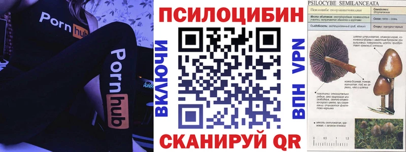 Псилоцибиновые грибы мицелий  где продают наркотики  Катайск 